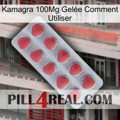 Kamagra 100Mg Gelée Comment Utiliser 18